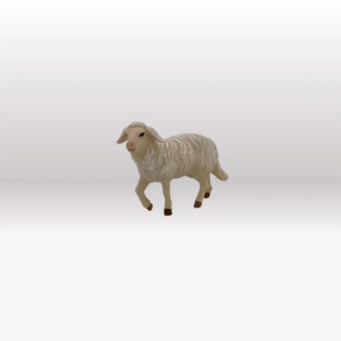 Schaf stehend Kopf hoch von Kostner
-1