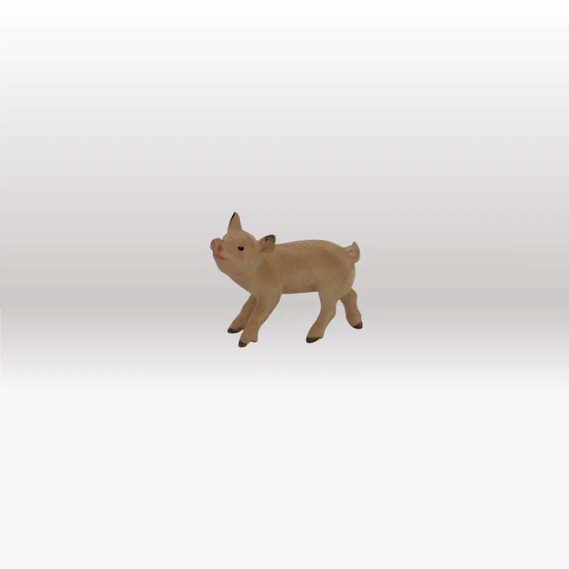 Ferkel stehend von Kostner-1