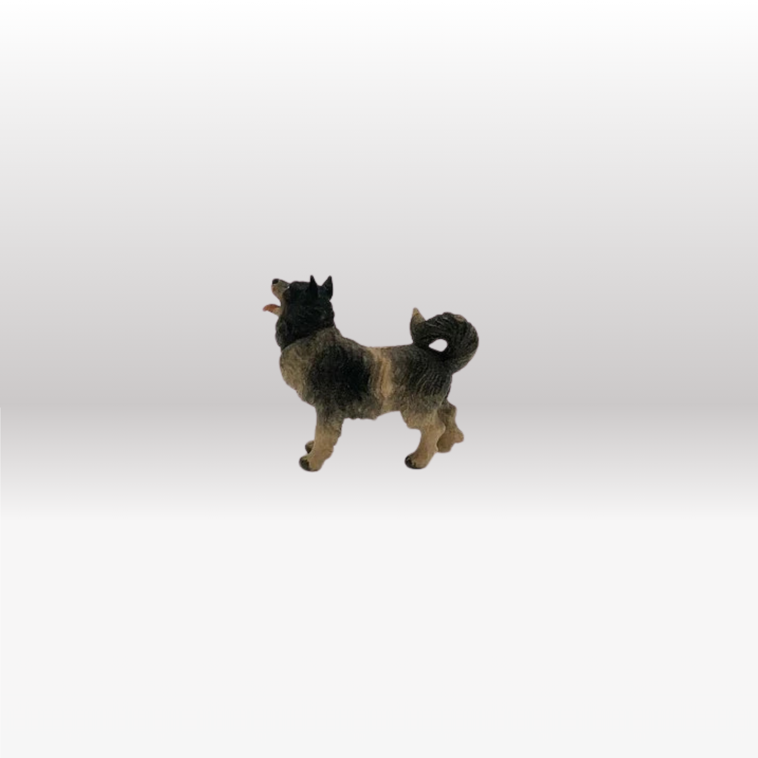 Hund Spitz von Kostner-2