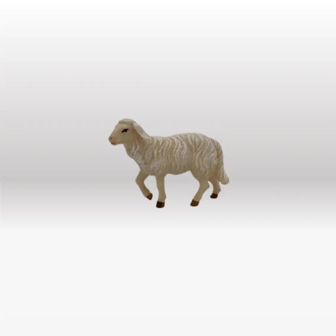 Schaf stehend Kopf hoch von Kostner
-2