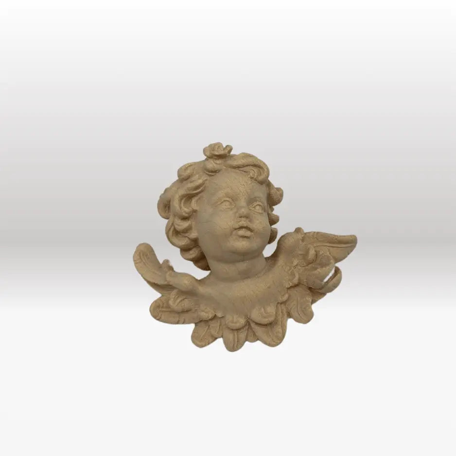 Engelskopf Leonardo linksschauend natur